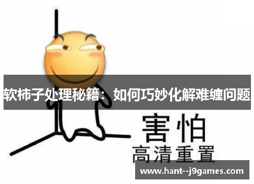 软柿子处理秘籍:如何巧妙化解难缠问题 软柿子处理秘籍:如何巧妙化解难缠问题